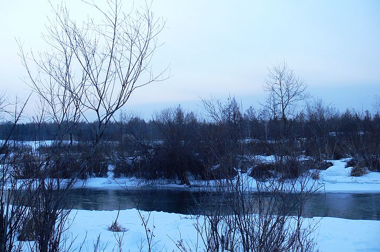 p1250456.jpg