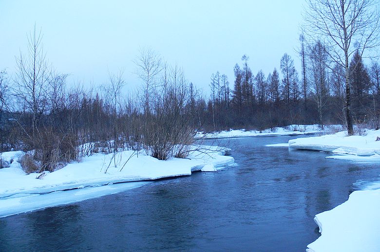 p1250459.jpg