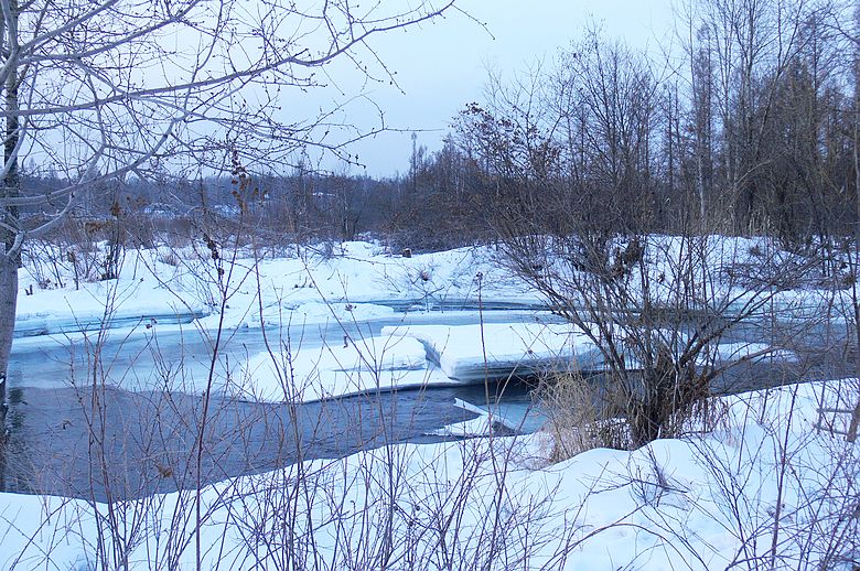 p1250471.jpg