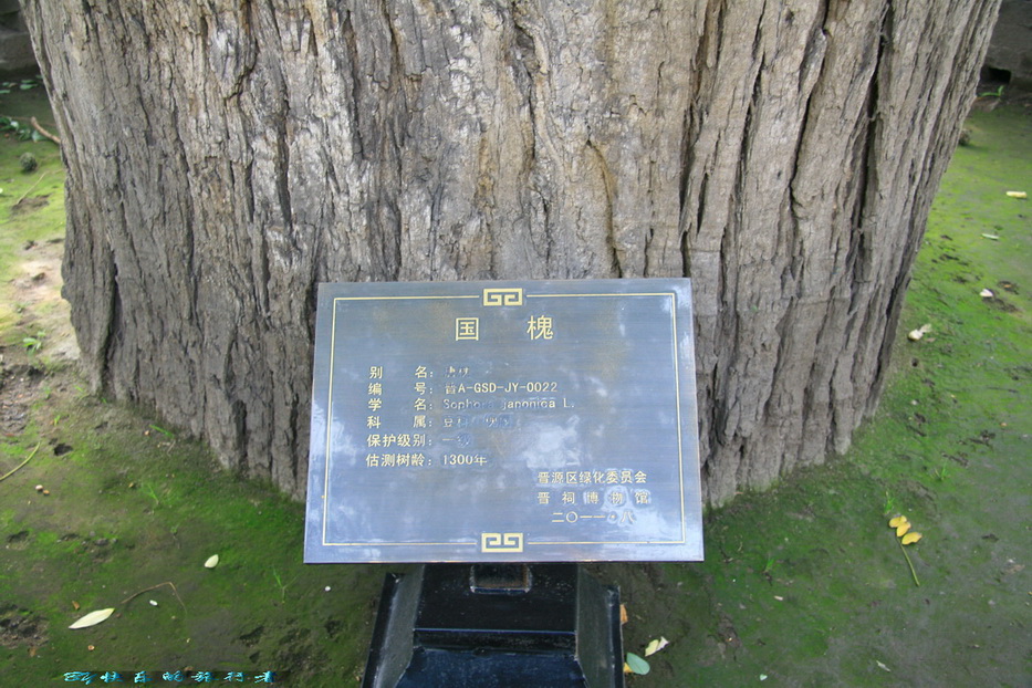 678.jpg