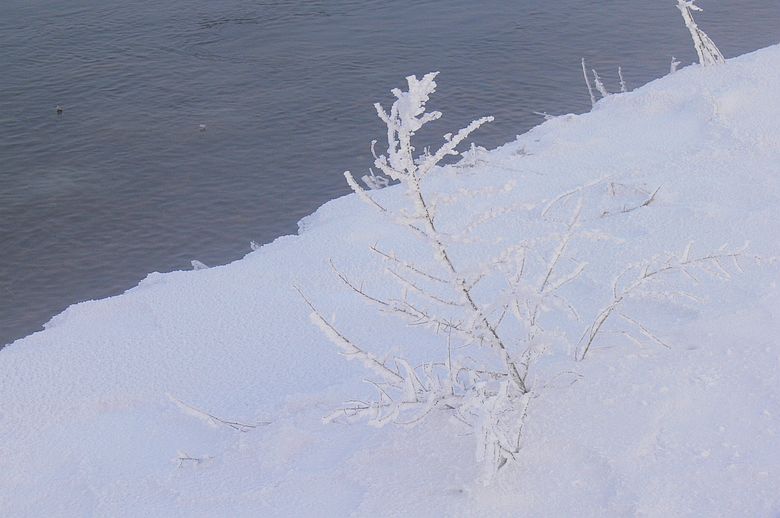 p1250501.jpg