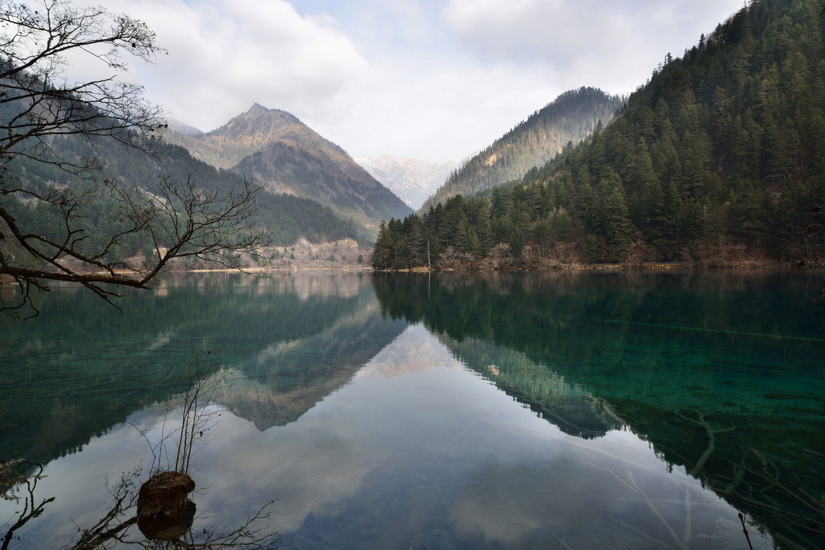 dsc_2905.jpg