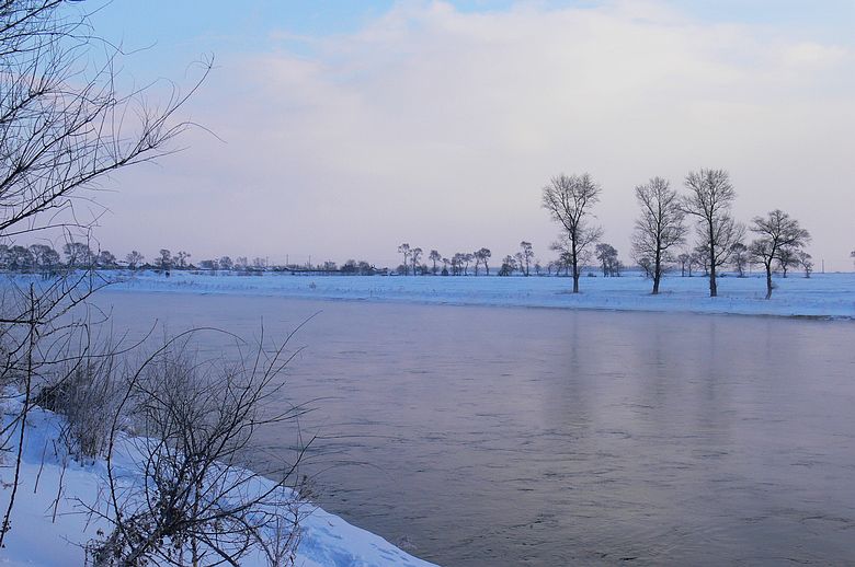 p1250542.jpg