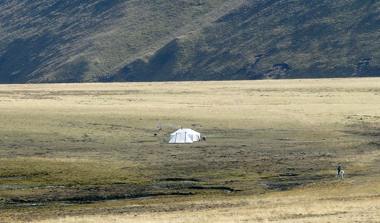 250.jpg