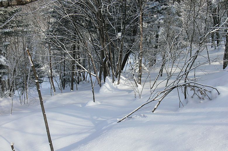 p1250287.jpg