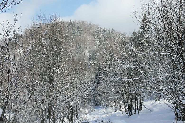 p1250290.jpg