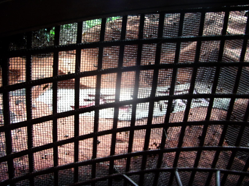 dscf0136.jpg