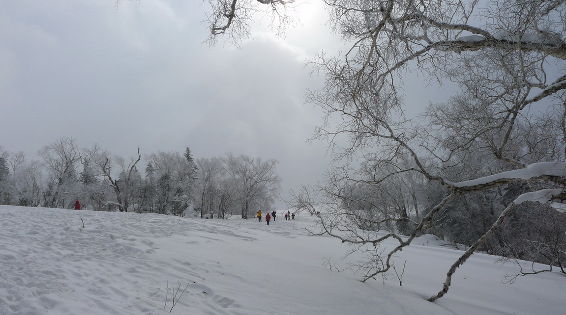 p1170177-1.jpg