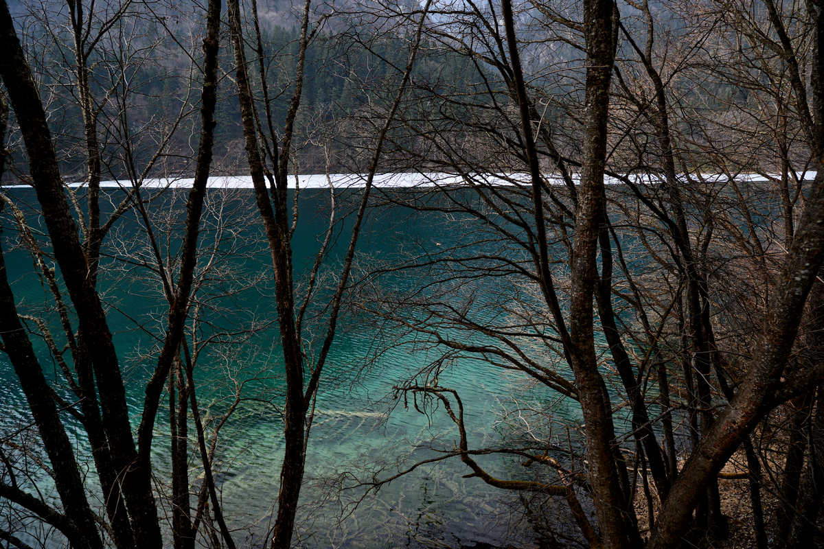 dsc_2457.jpg
