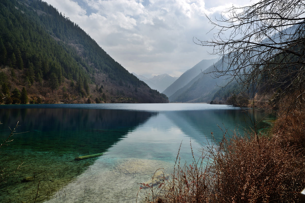 dsc_31122.jpg