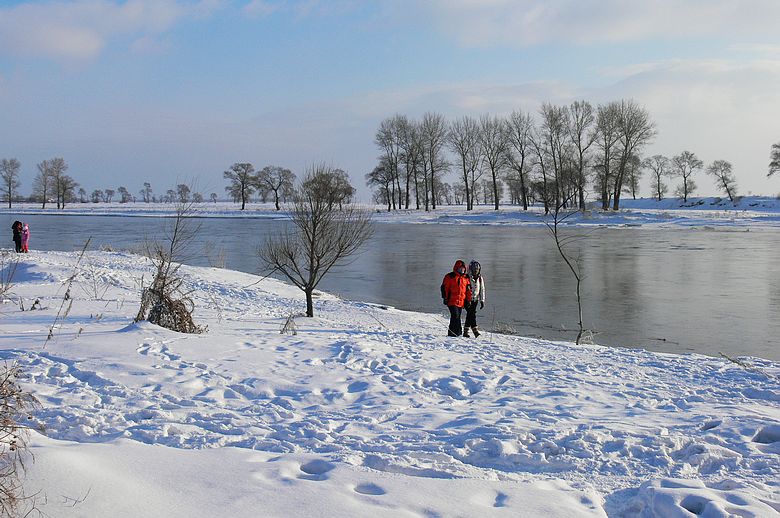p1250567.jpg