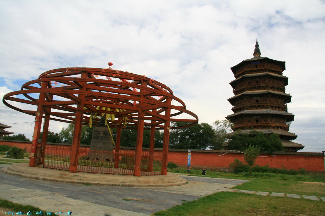 875.jpg