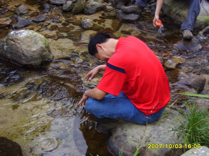 image.jpg