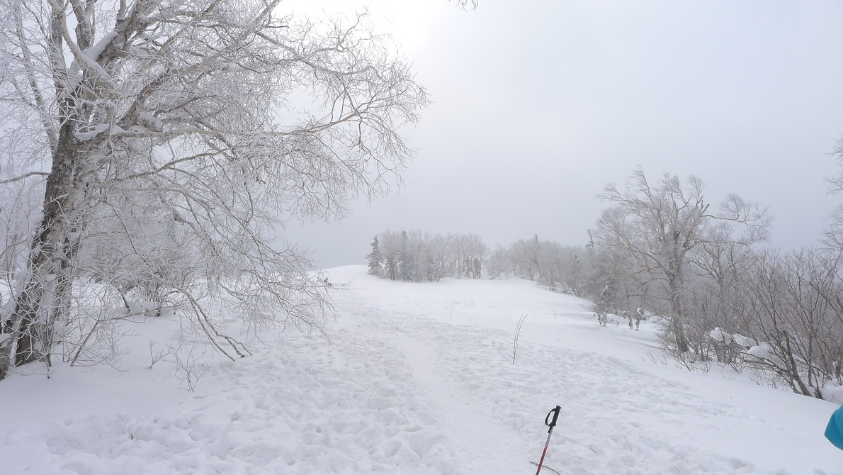 p1170210-1.jpg