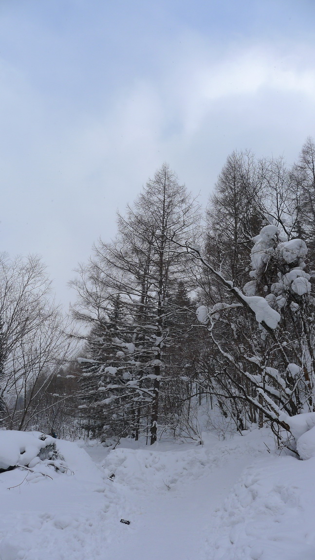 p1170254-1.jpg