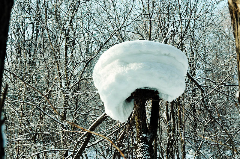 dsc_8557.jpg