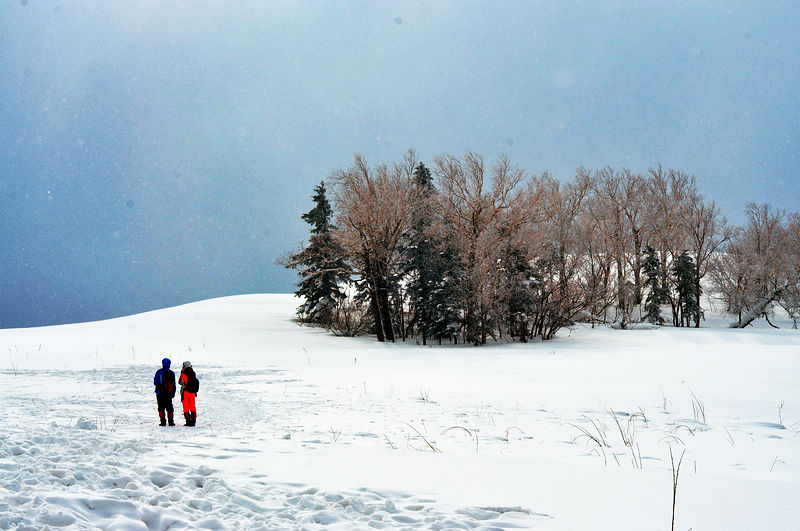 dsc_8569.jpg