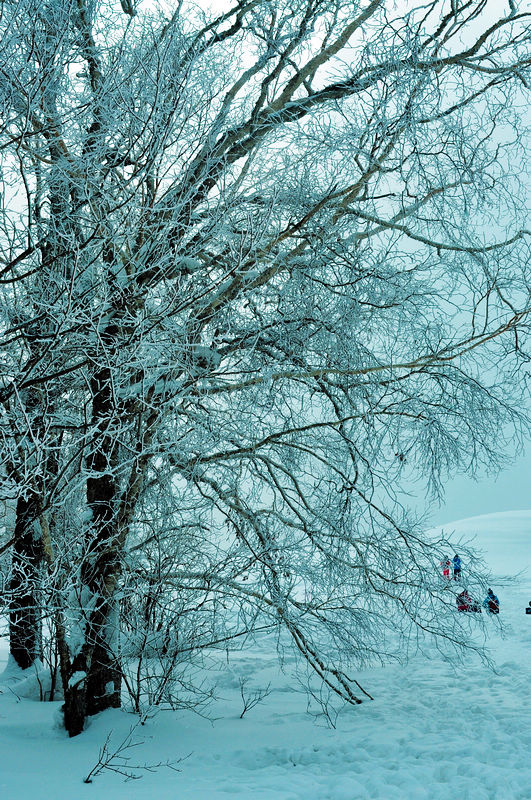 dsc_8606.jpg