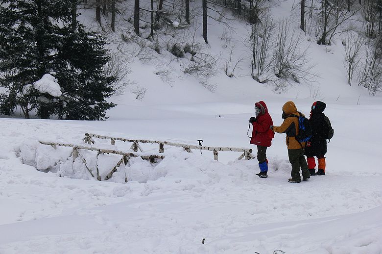 p1250383.jpg