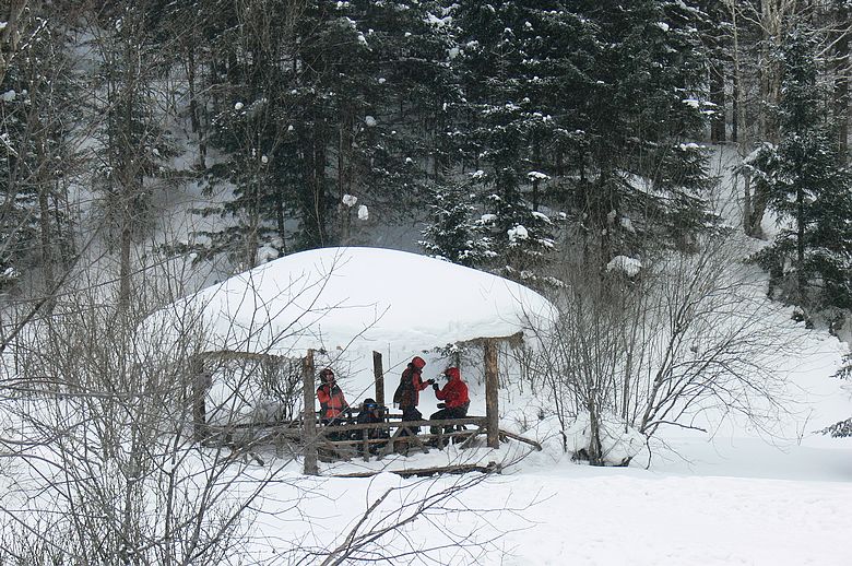 p1250384.jpg