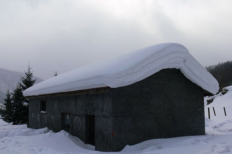 p1250387.jpg