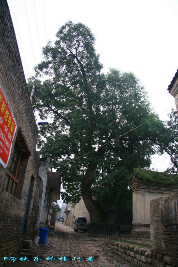 633.jpg