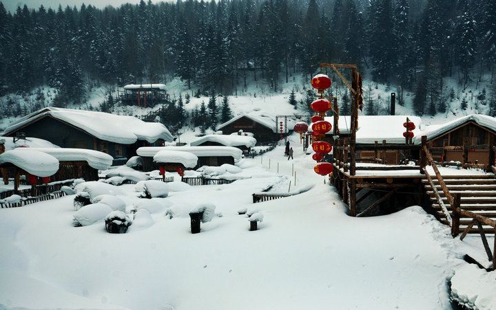 dsc_8639.jpg