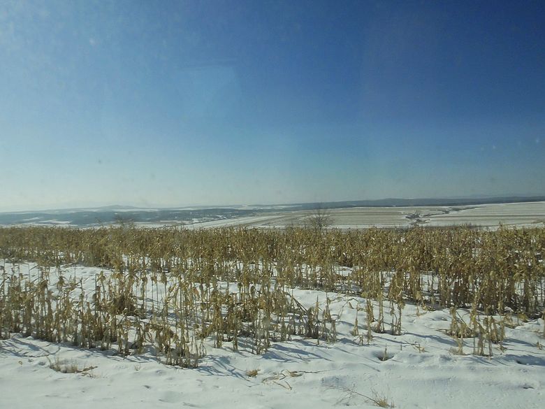 dsc09384.jpg