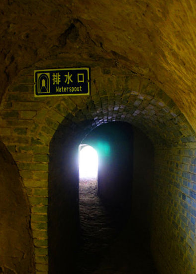 123405294_71n.jpg