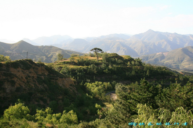 929.jpg