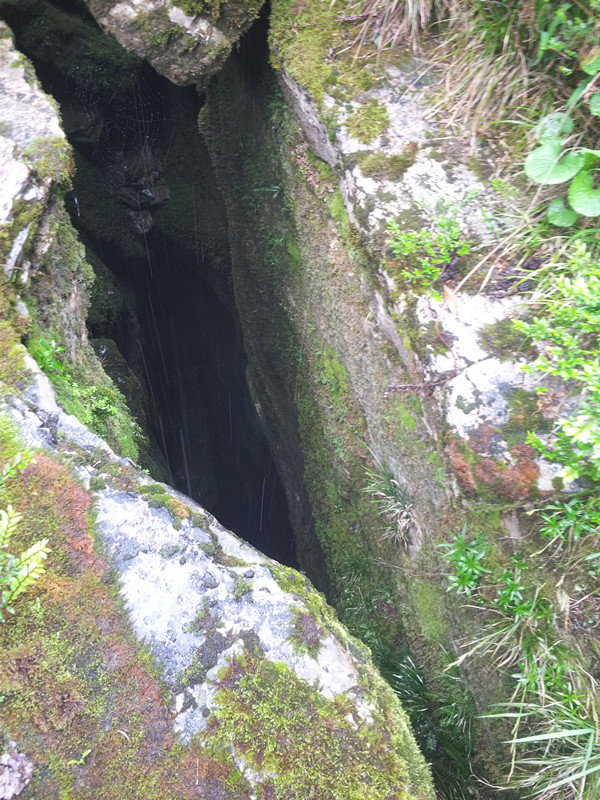 20130404_120123.jpg