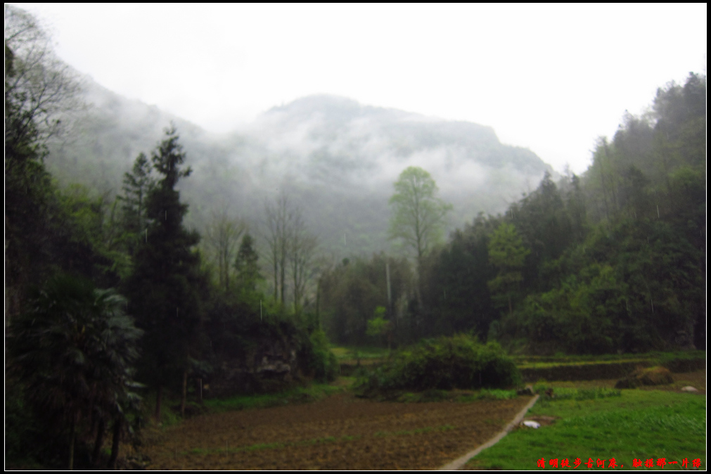 źӴ267.jpg