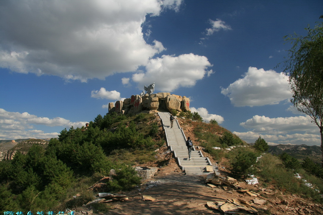 254.jpg