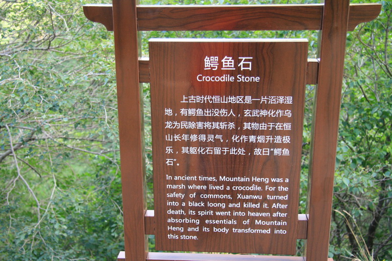 951.jpg