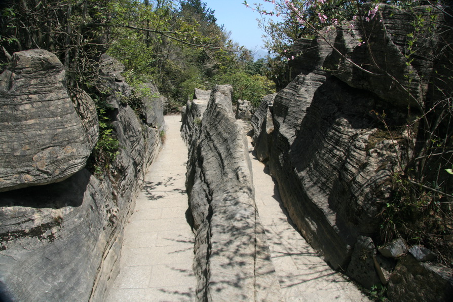ʩ 174.jpg