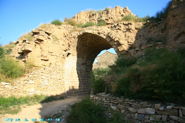 346.jpg