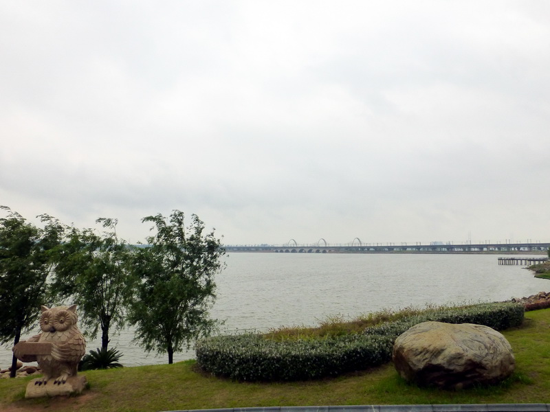 p1060520.jpg