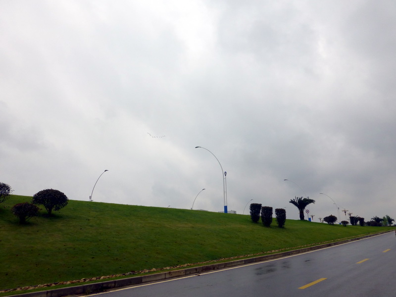 p1060524.jpg