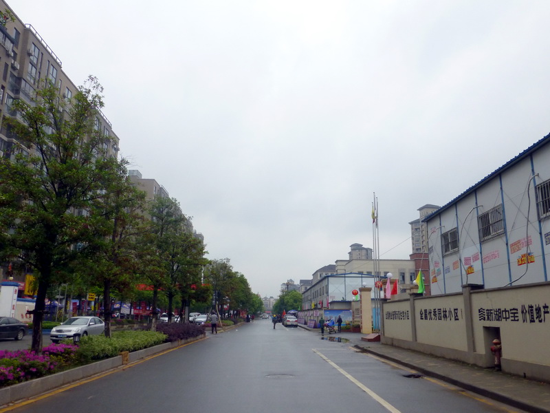 p1060533.jpg