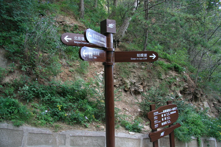 965.jpg
