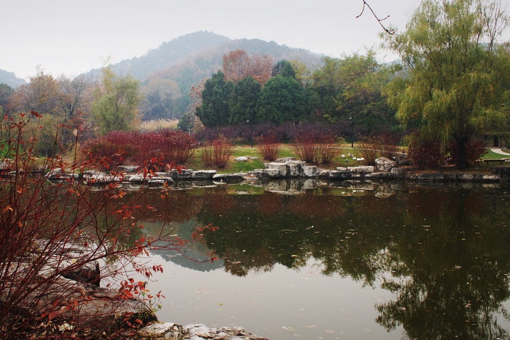 k1037157.jpg