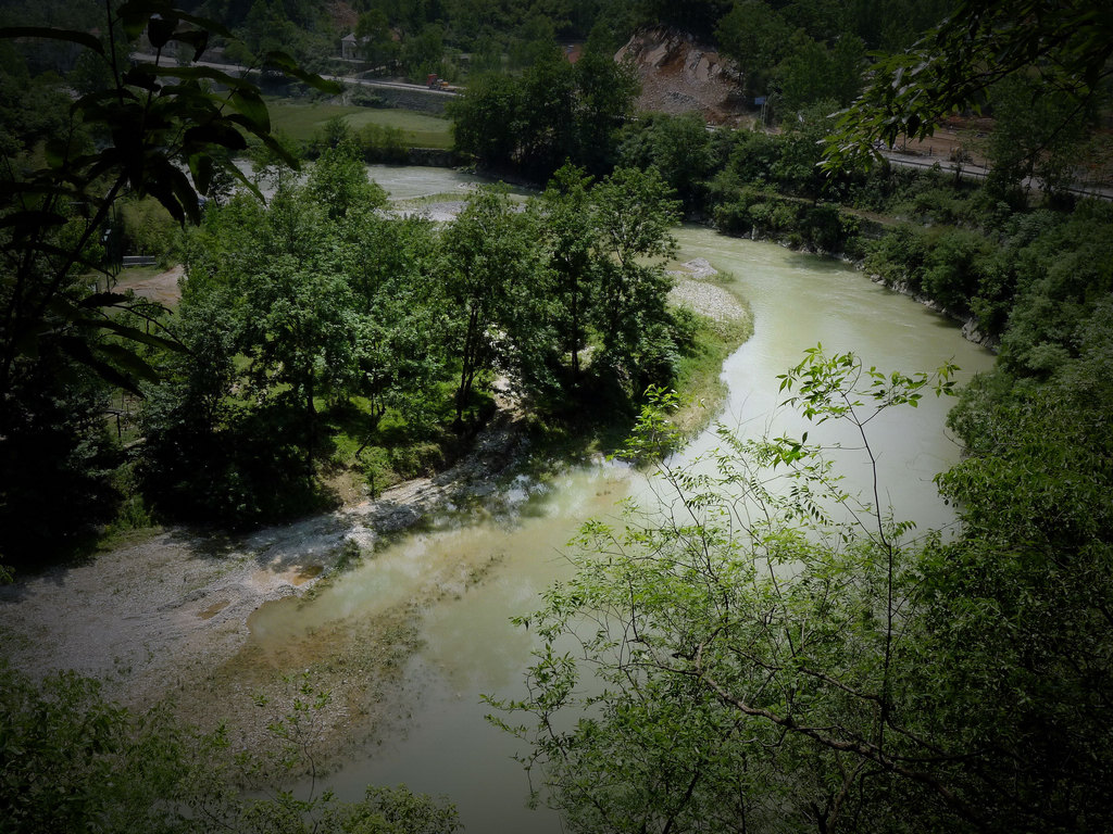 p1210404__.jpg