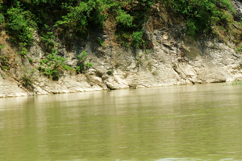 dsc01898_.jpg