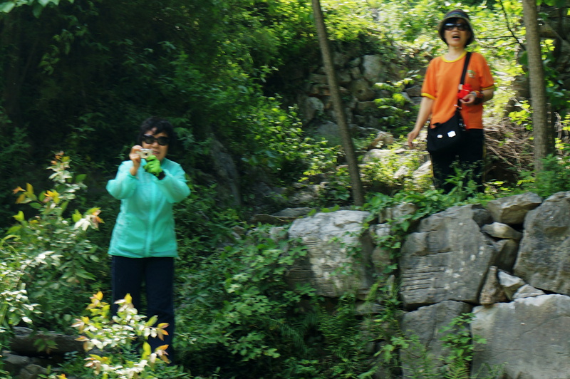 dsc01899_.jpg