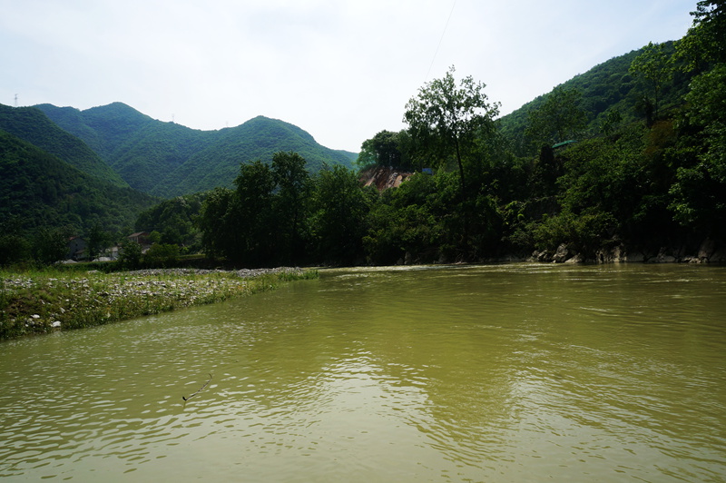 dsc01905_.jpg