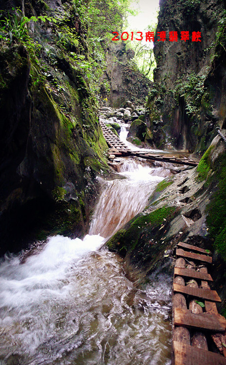 p1170114__.jpg