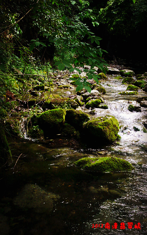 p1170107_.jpg