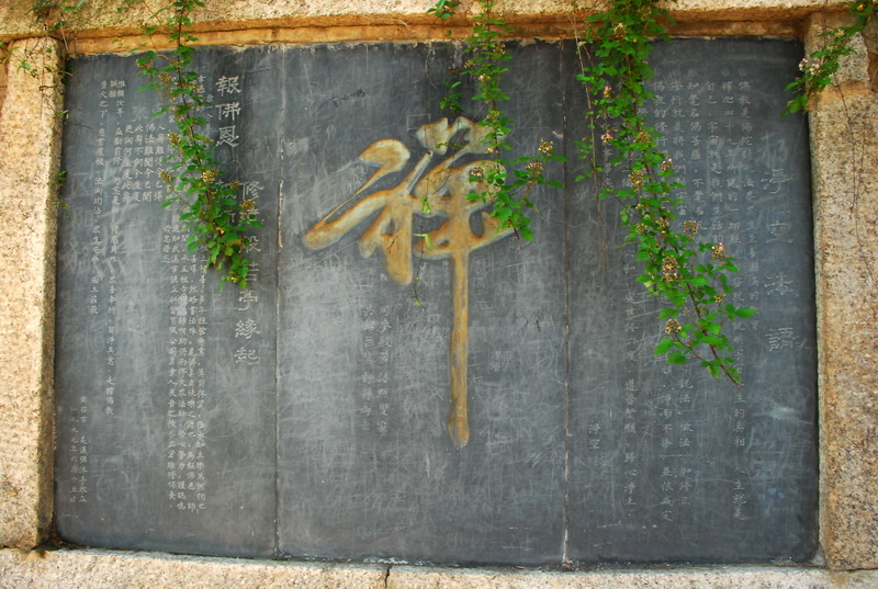 dsc_9715.jpg