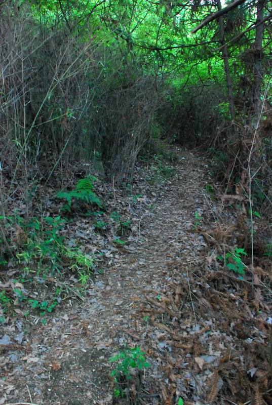 dsc_9961.jpg