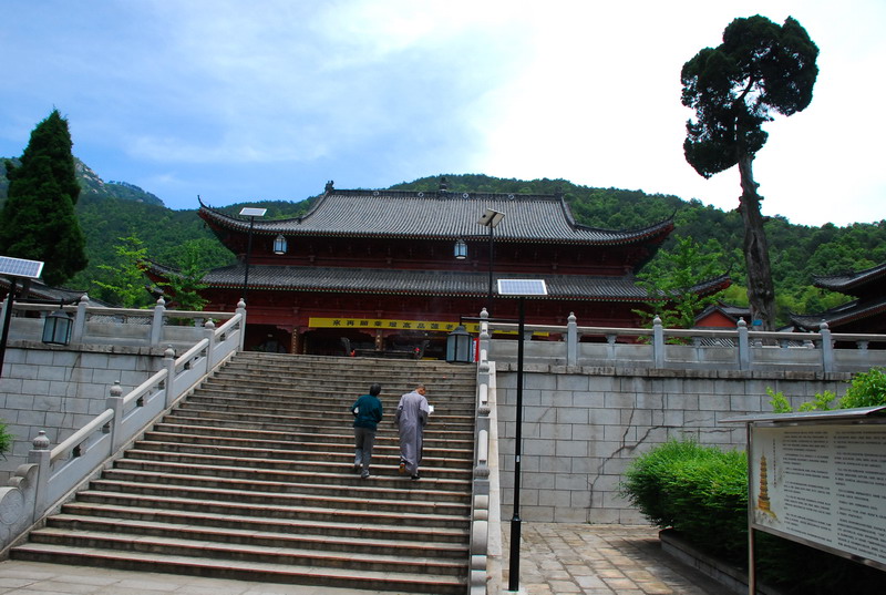 dsc_00890.jpg